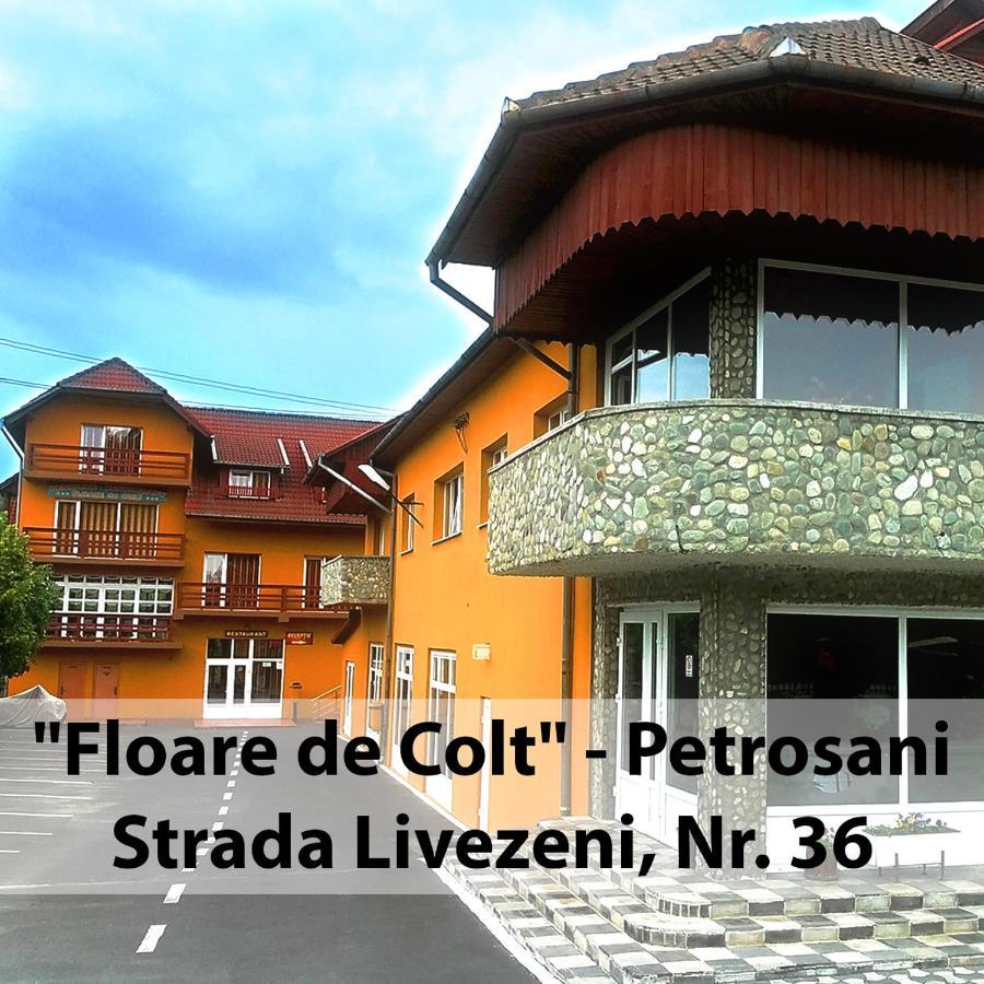Floare De Colt Petrosani 호텔 외부 사진